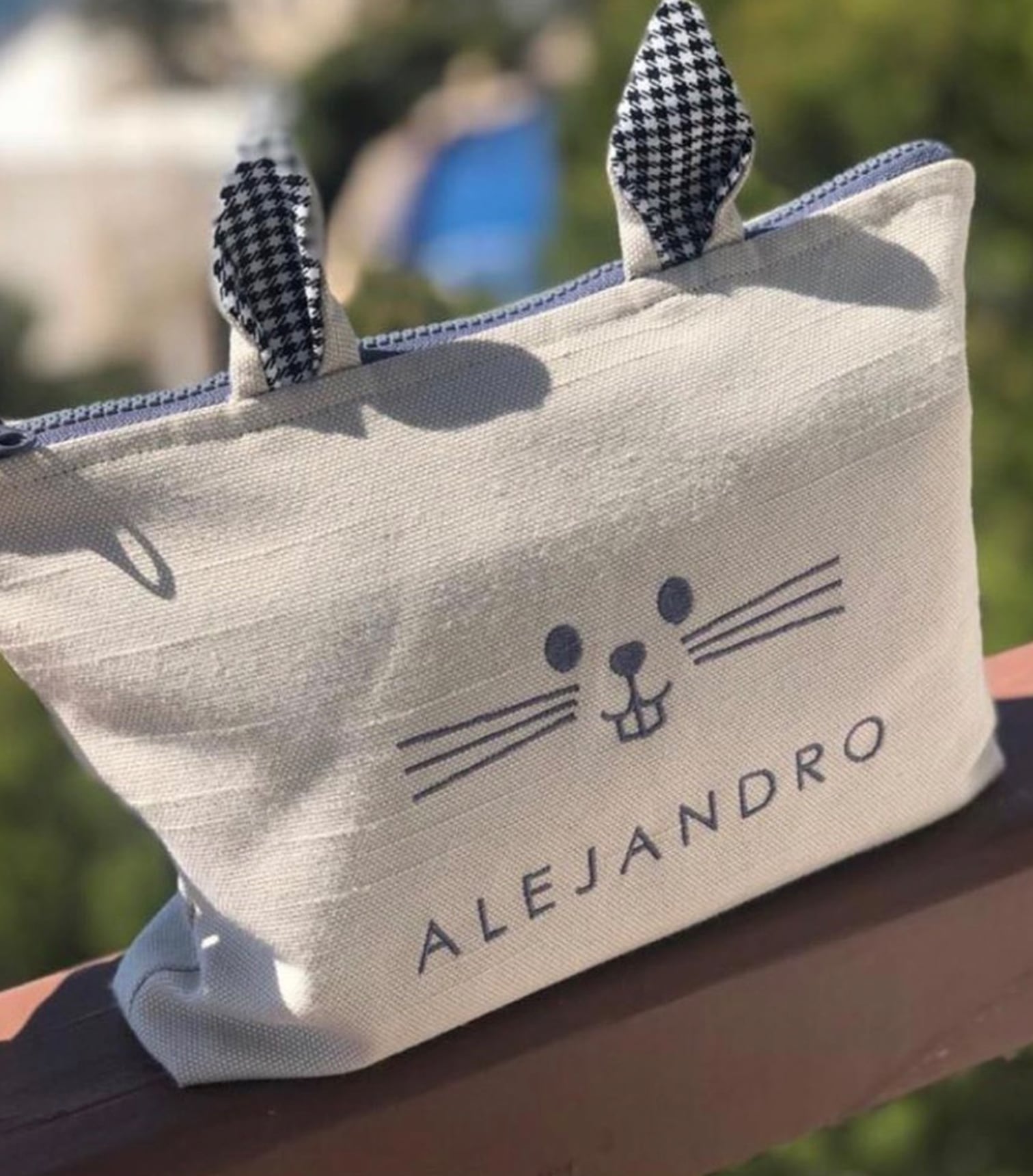 Pañalera - Imagen 2